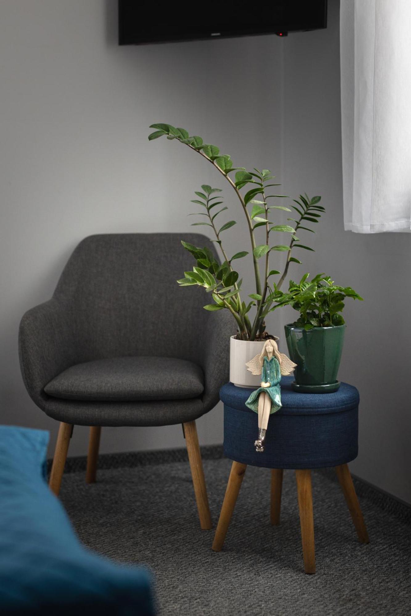 Apartamenty Wczasowa - Komfort Z Narciarnia Kudowa-Zdrój Exteriér fotografie